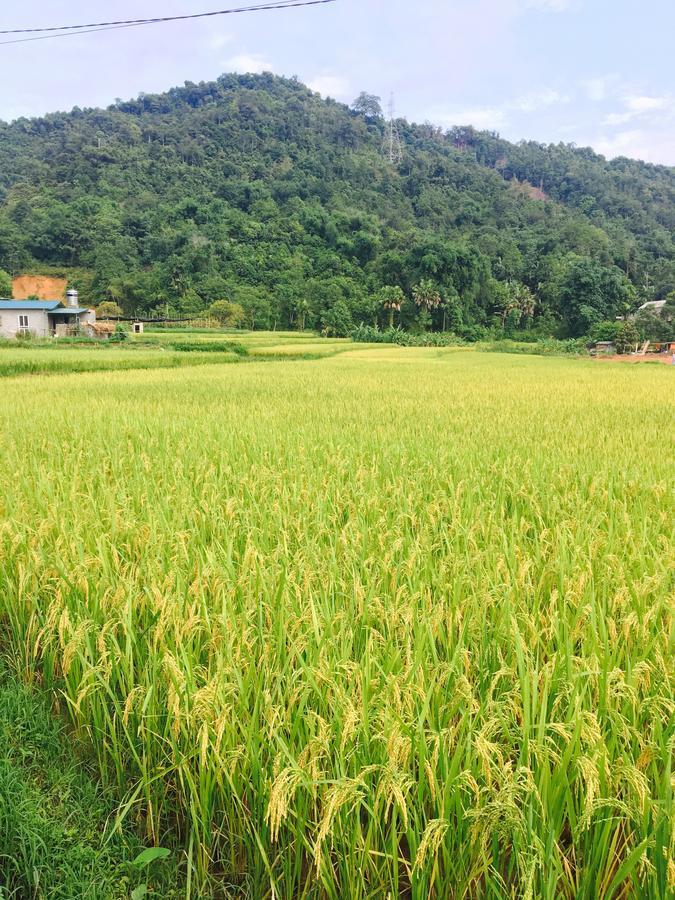 Royal Hotel Ha Giang Kültér fotó